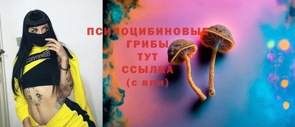 spice Алзамай