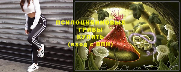 spice Алзамай