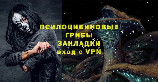 spice Алзамай